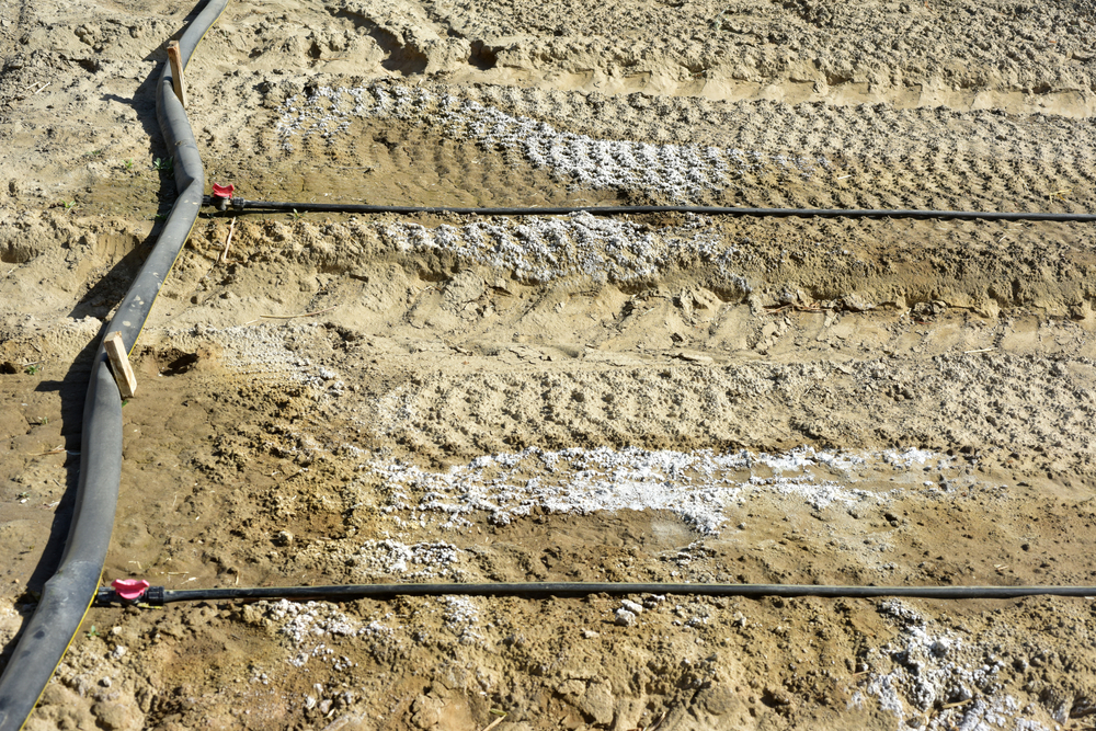 Leach field with irrigation-style pipes laid out on soil.