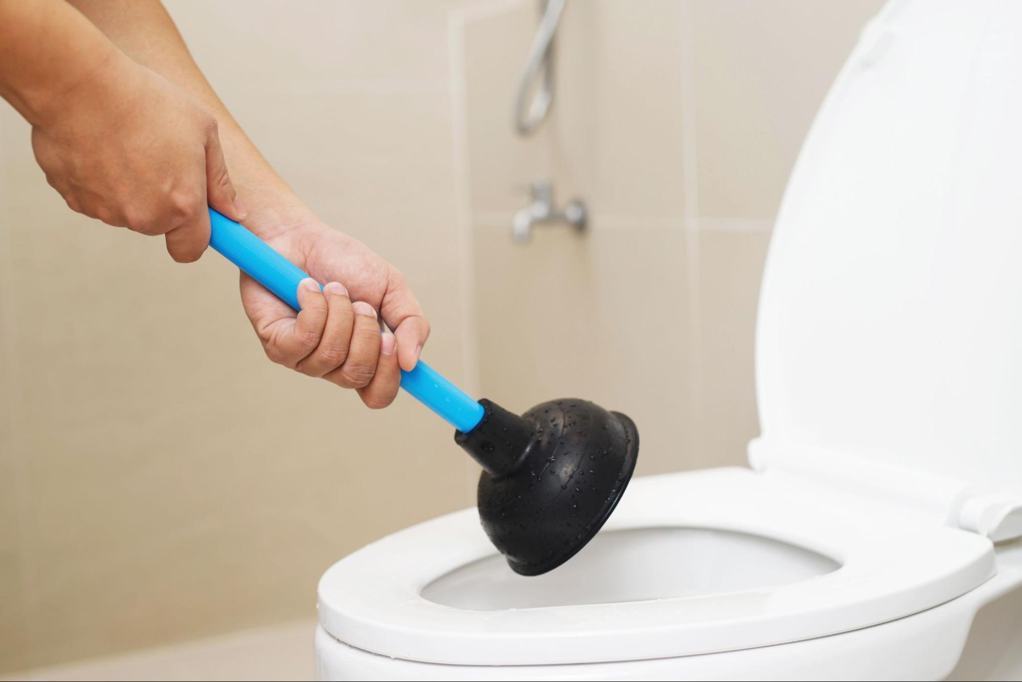 Person holding a plunger above a toilet.