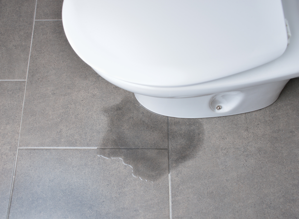 Why Is My Toilet Leaking from the Bottom? Ukiah Homeowner’s Quick Fix Guide