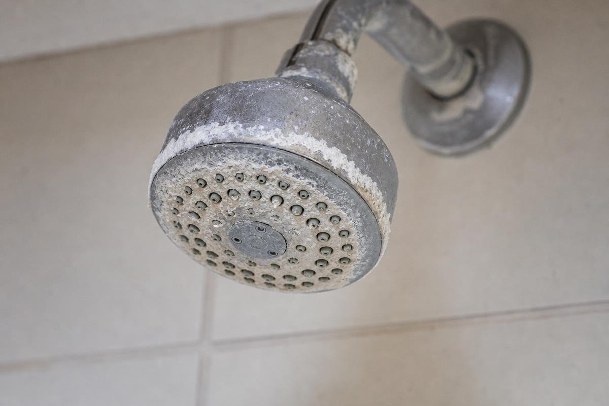 hard water mineral scale on showerhead, hard water problems Ukiah, CA